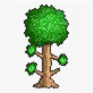Terraria