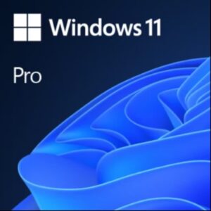 Windows 11 Professional OEM Key