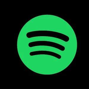 Spotify 12-month Premium Account